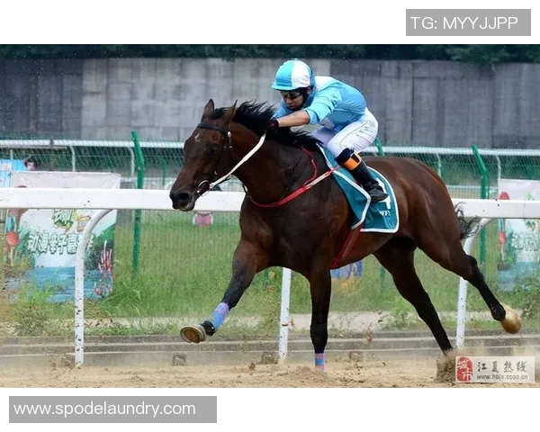 武汉篮球队速度之美展现大满贯点评引领赛场新风潮